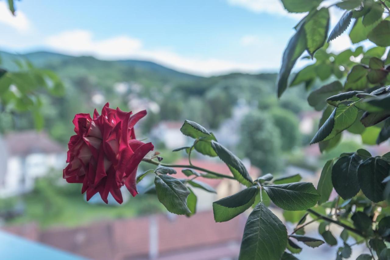 Onore Dell Amore Apartman Sa Djakuzijem Banja Koviljaca Exterior photo