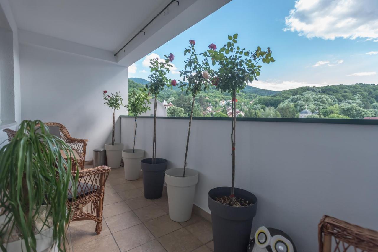 Onore Dell Amore Apartman Sa Djakuzijem Banja Koviljaca Exterior photo